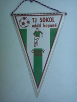 /album/cesky-dub/cesky-dub-tj-sokol-20-a-jpg/